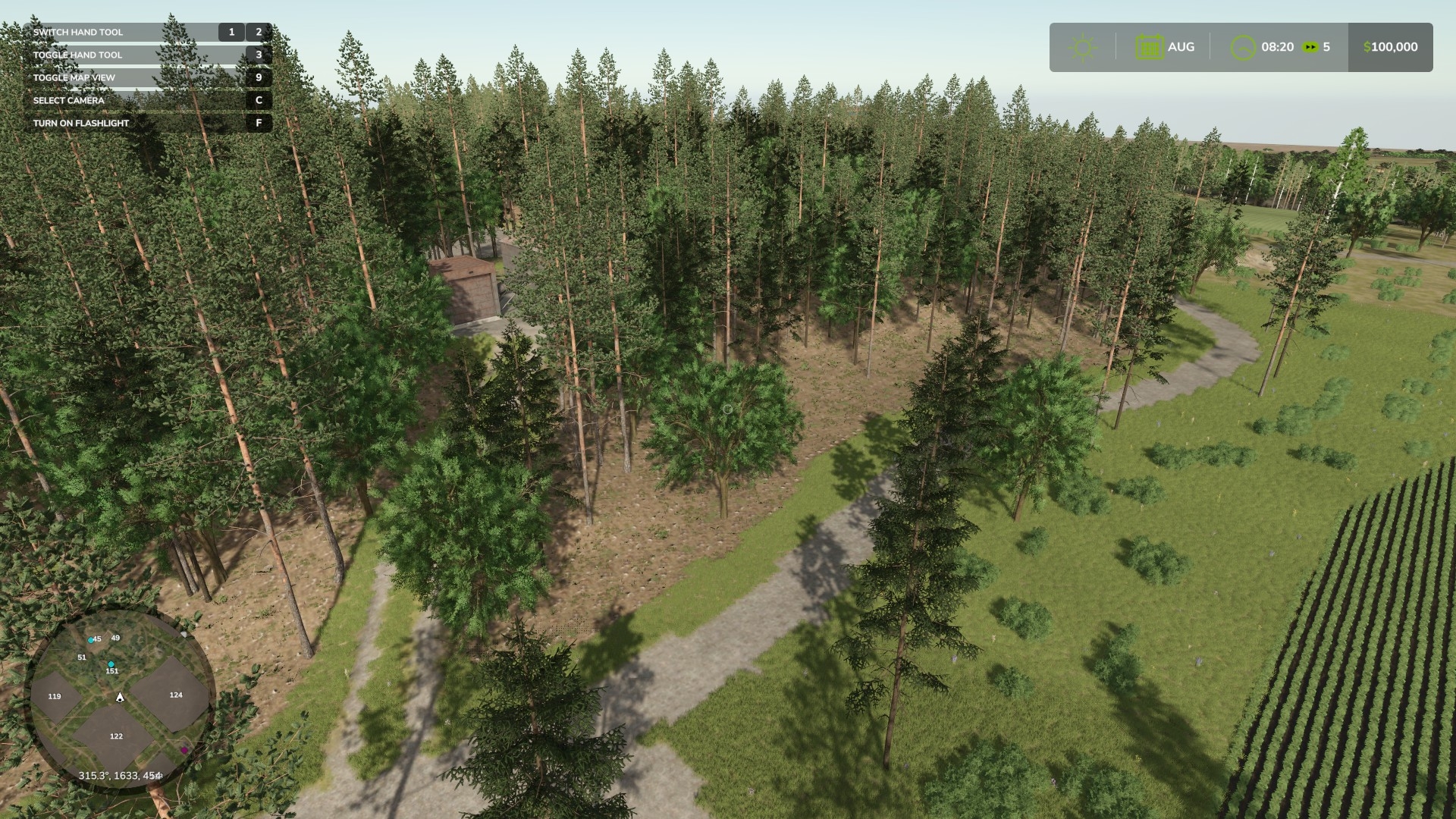 Woodland tracks