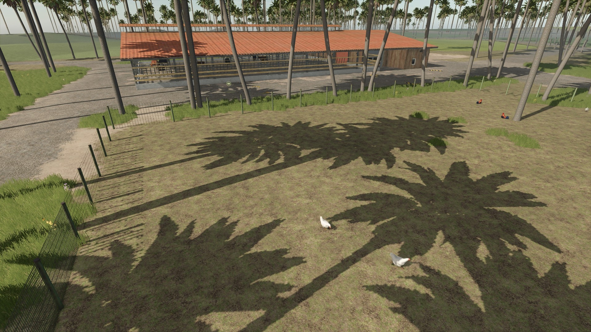 Tropical farmyard