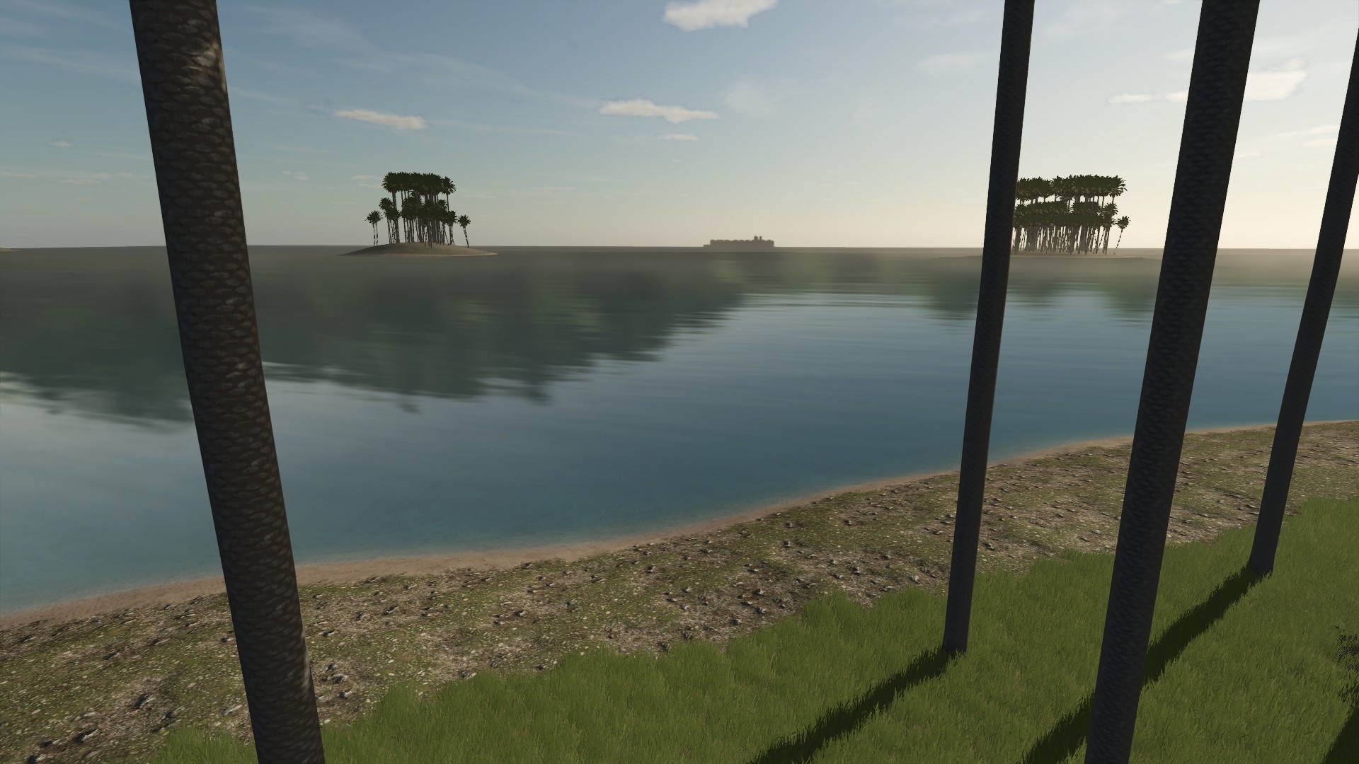 Island shoreline