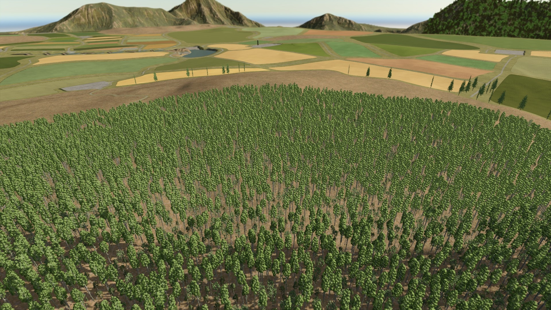 Fields and woodland
