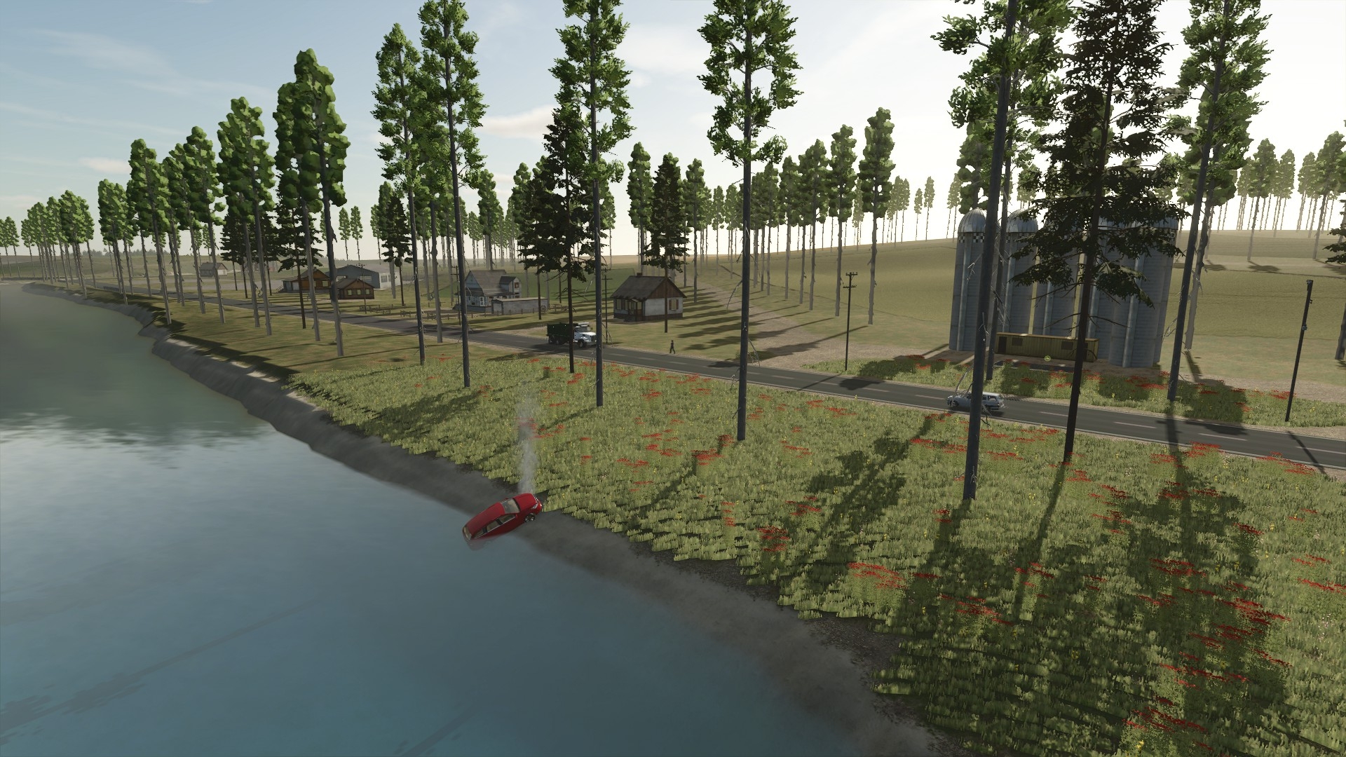 Shoreline and woodland