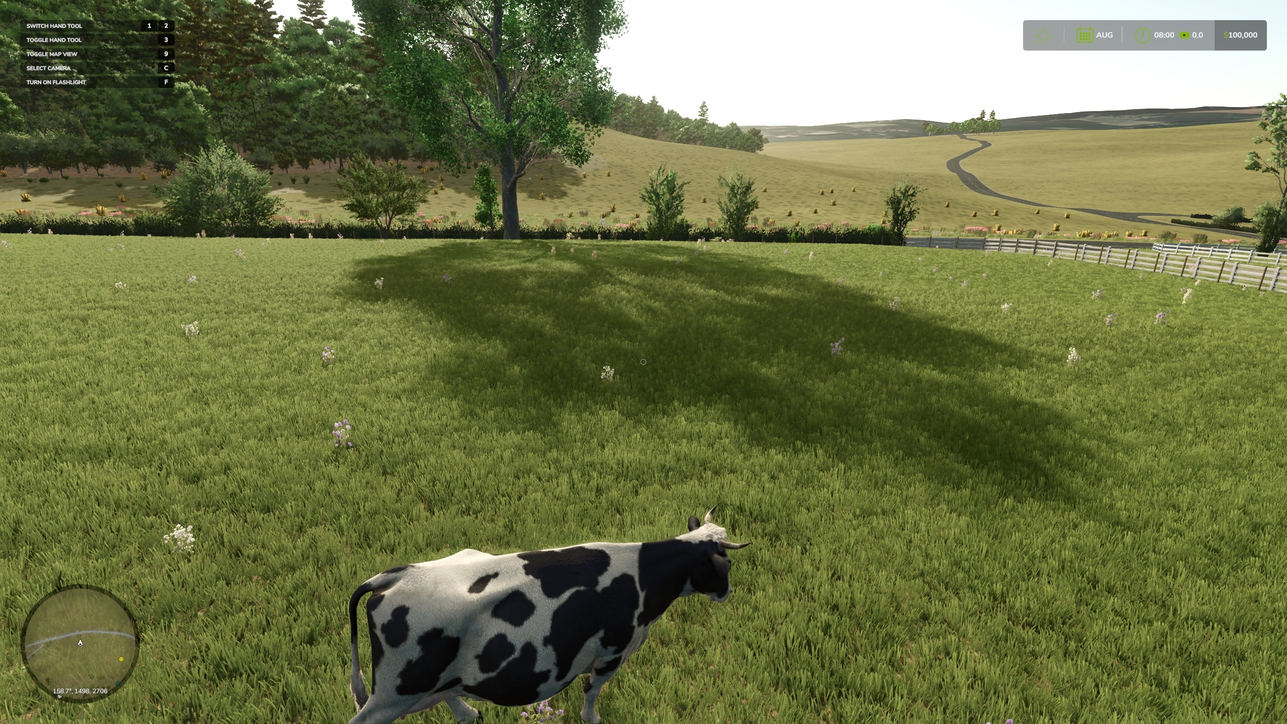 Cattle pasture